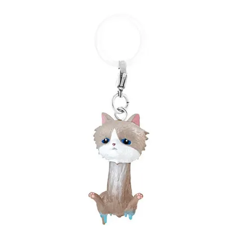 猫(長毛 A)